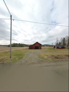 GD’s bärodling - Skellefteå