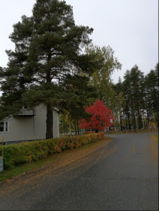 Norsjö - 